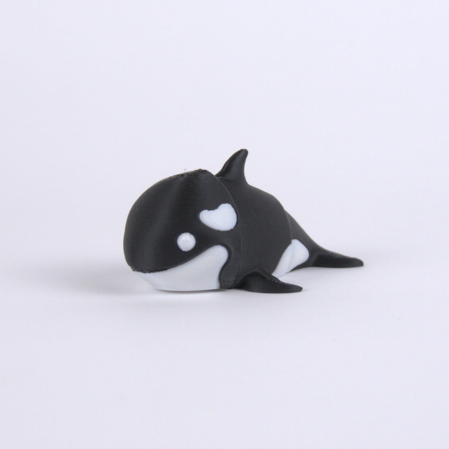 Orca Whale