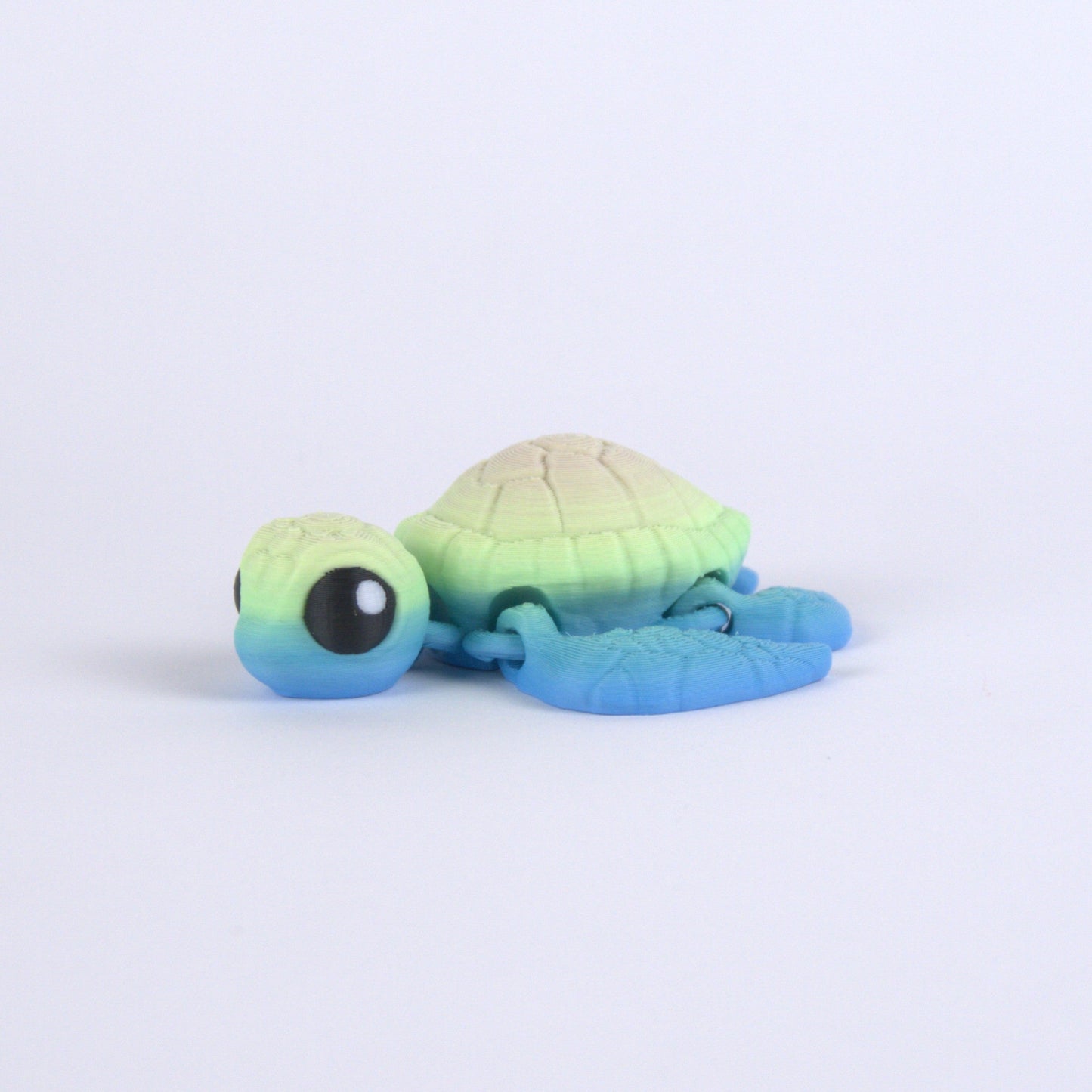 Sea Turtle