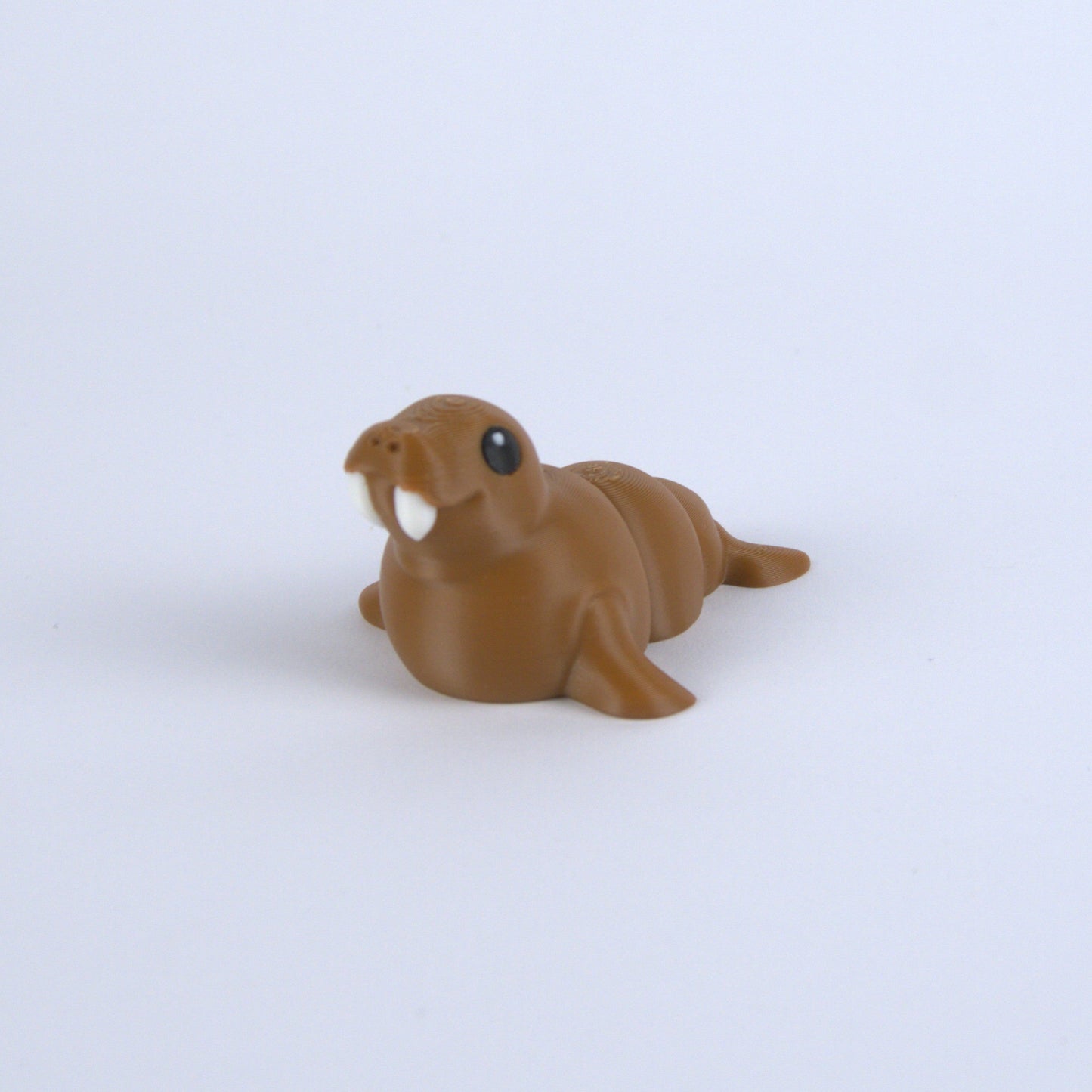Walrus