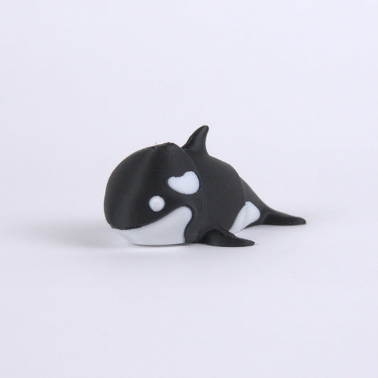Orca Whale