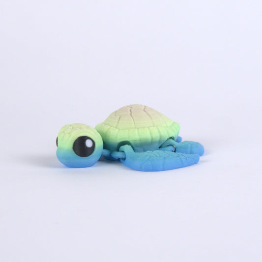 Sea Turtle