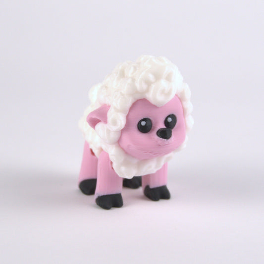 Shane The Sheep