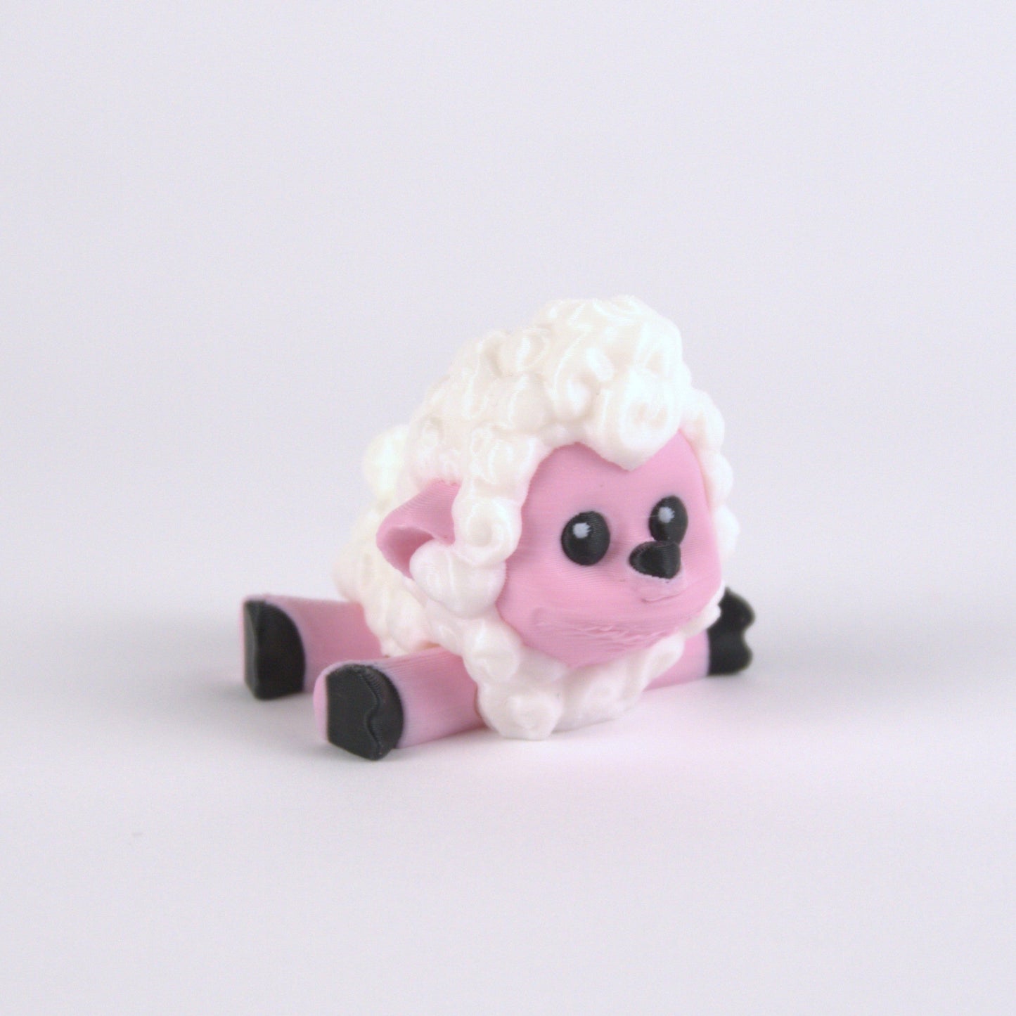 Shane The Sheep