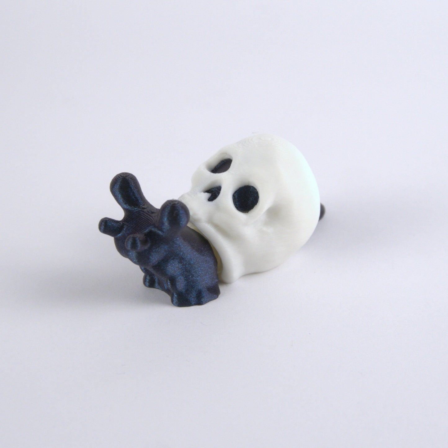 Skull Snail