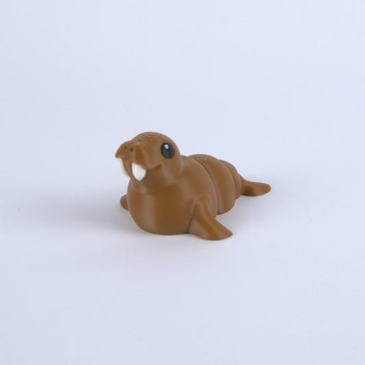 Walrus
