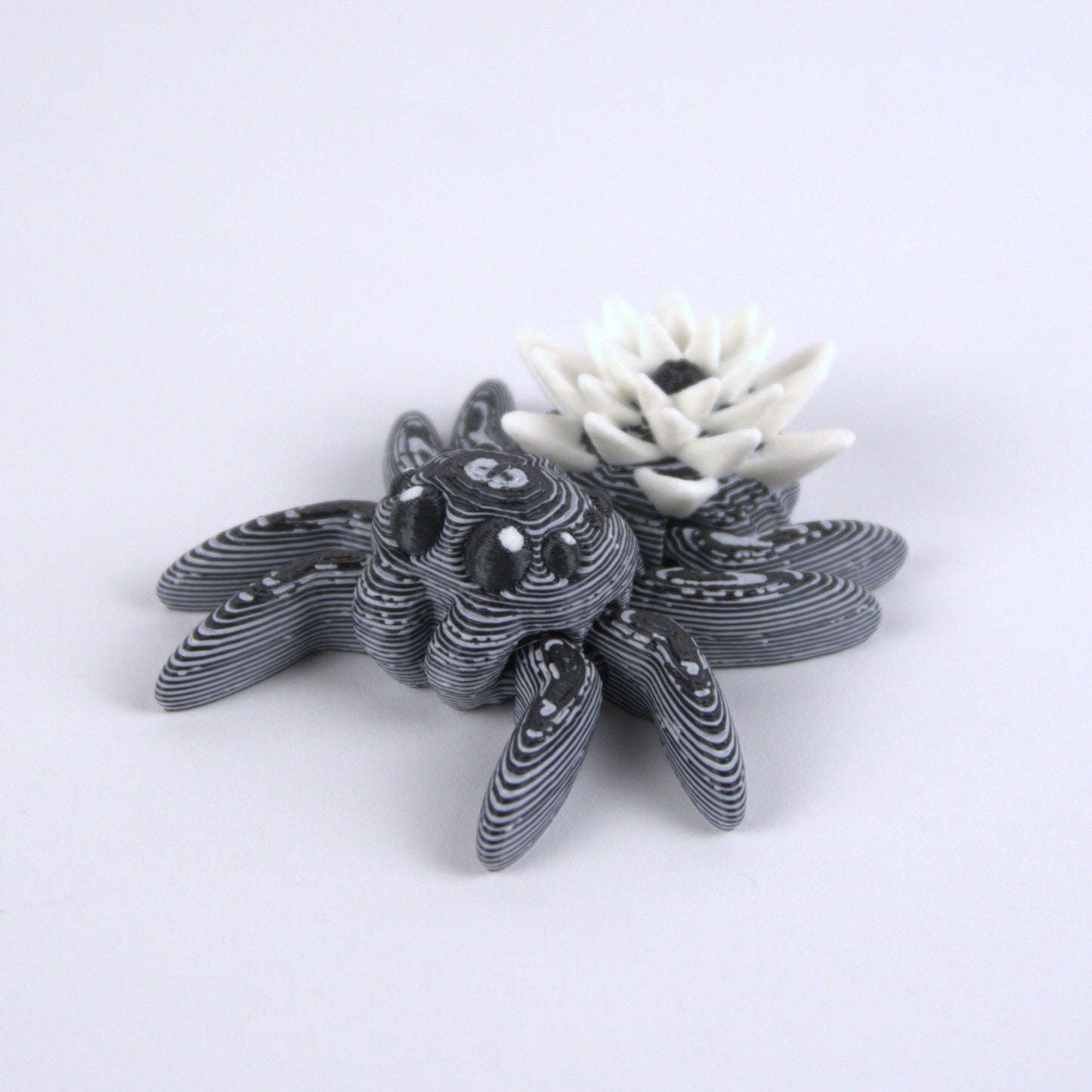 Water Lily Spiders