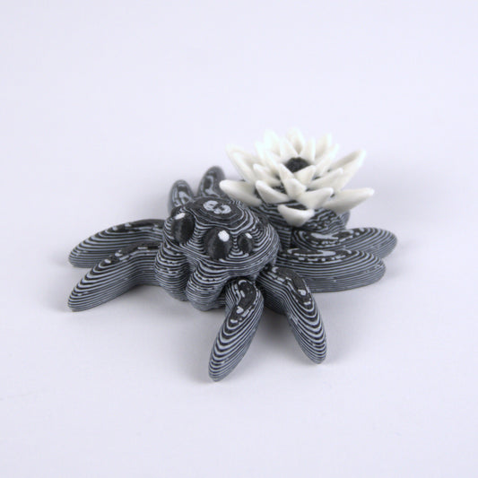 Water Lily Spiders